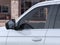 2026 Ford Expedition ACTIVE 4X2