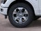 2026 Ford F-150 PLATINUM 4WD SUPERCREW 5.